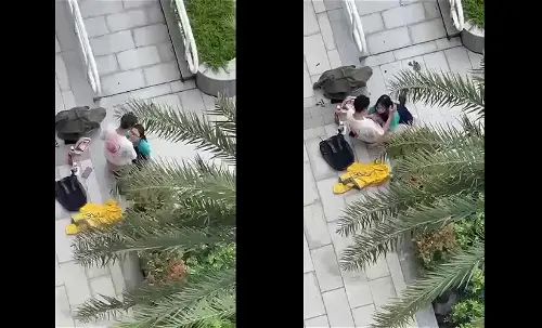 Poster of Bé nữ sinh kính cận bú cu để người yêu xuất vào miệng ở sảnh chung cư