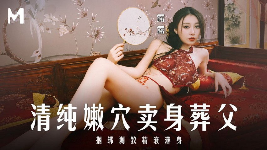 Poster of MD0312-Em gái bán thân để có tiền mai táng cho cha