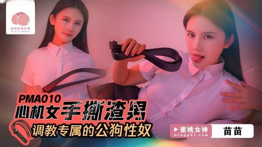 Poster of PMA010-Lên giường cùng người đàn bà gian xảo