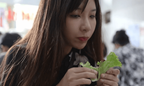 Poster of Vlog du lịch Hà Nội của em diễn viên Đài Loan